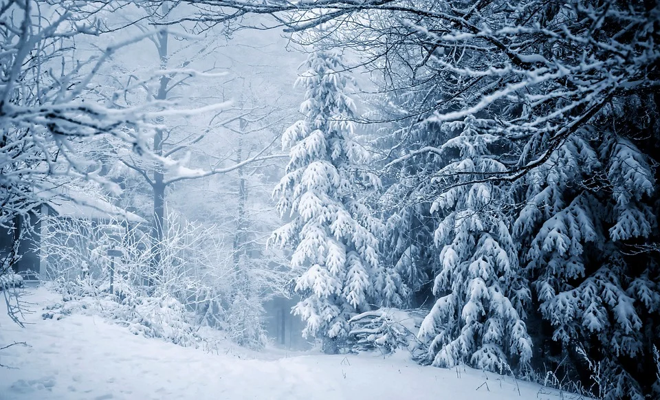 Jak zwiedzać Góry Stołowe zimą?